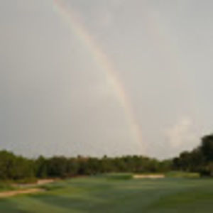 Meet your Posher, Dan